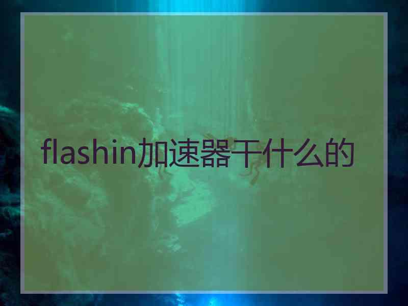 flashin加速器干什么的