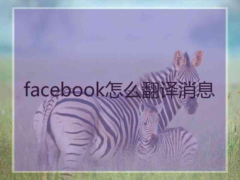 facebook怎么翻译消息