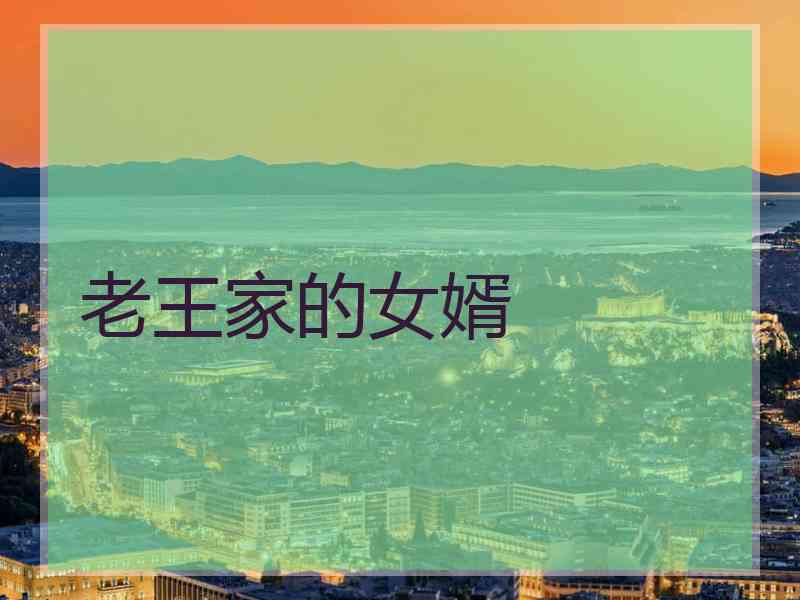 老王家的女婿