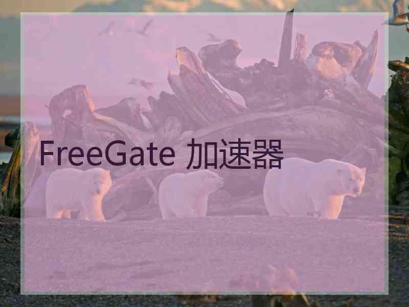 FreeGate 加速器