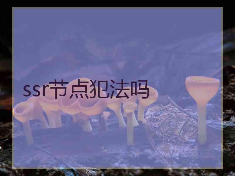 ssr节点犯法吗