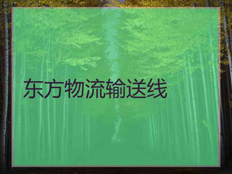 东方物流输送线