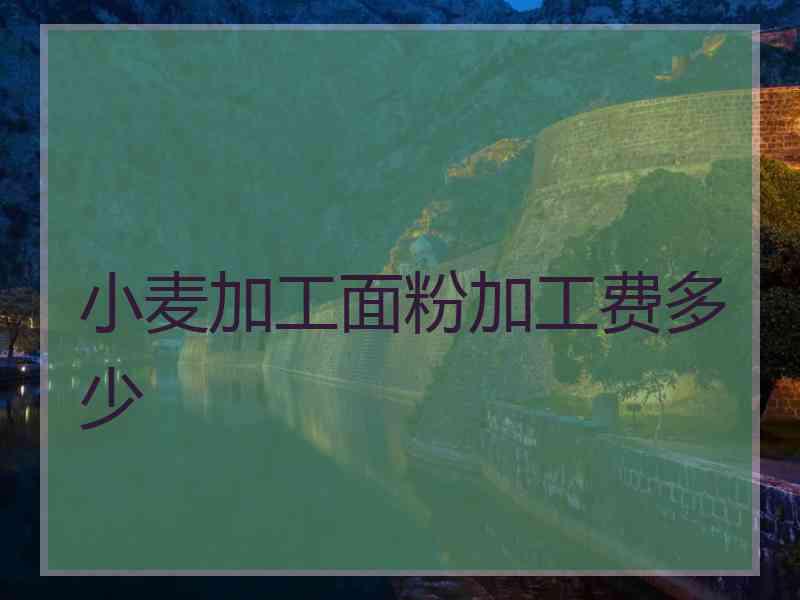 小麦加工面粉加工费多少