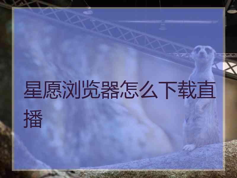 星愿浏览器怎么下载直播