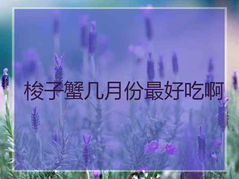 梭子蟹几月份最好吃啊