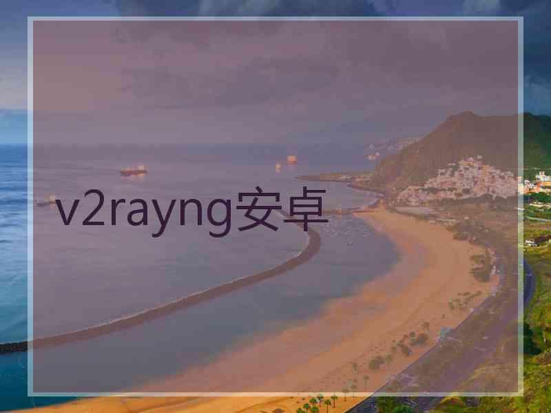 v2rayng安卓