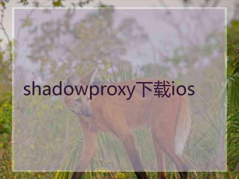 shadowproxy下载ios