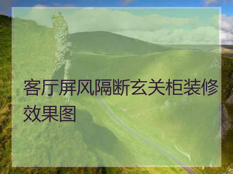 客厅屏风隔断玄关柜装修效果图