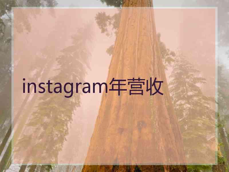 instagram年营收