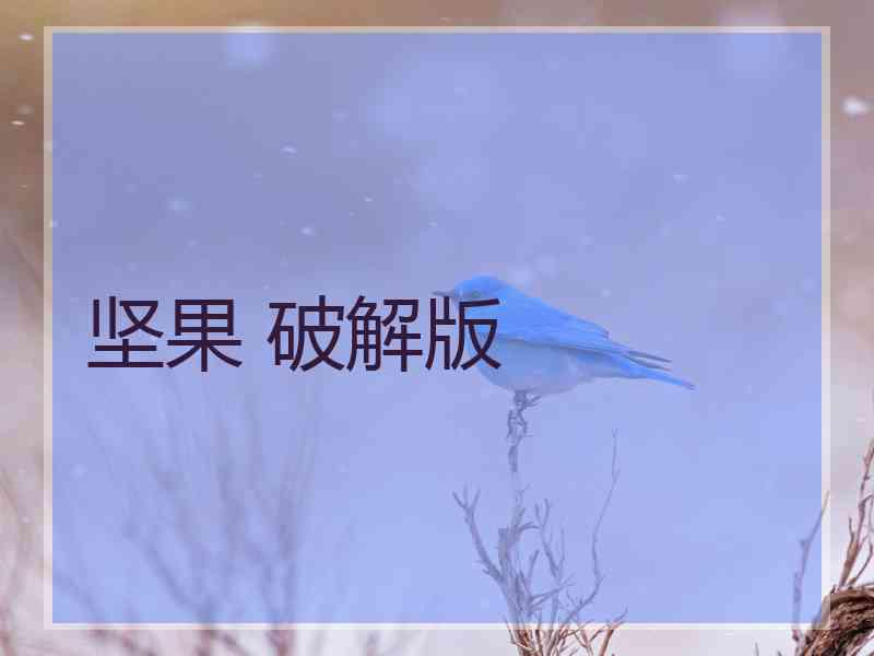 坚果 破解版