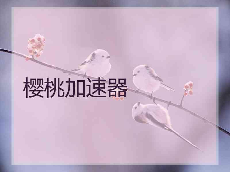 樱桃加速器