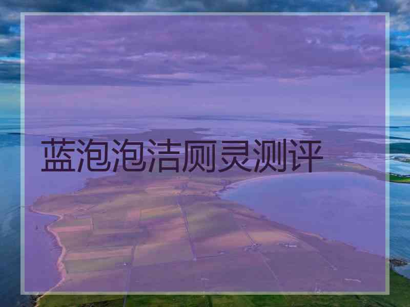 蓝泡泡洁厕灵测评