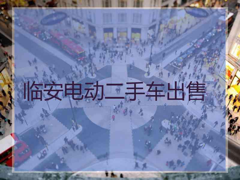 临安电动二手车出售