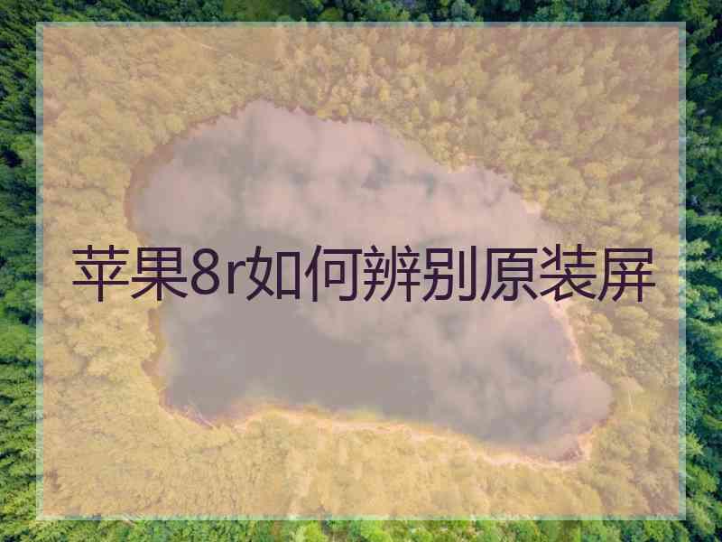 苹果8r如何辨别原装屏