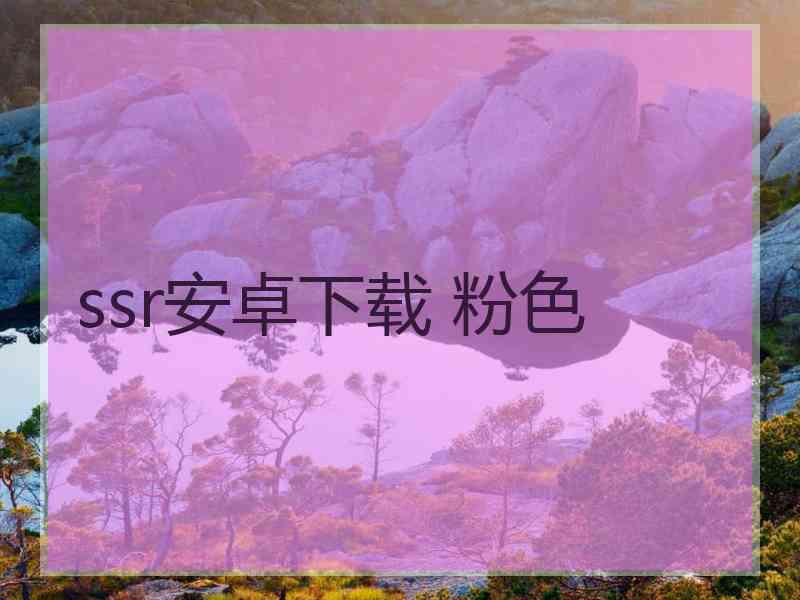 ssr安卓下载 粉色