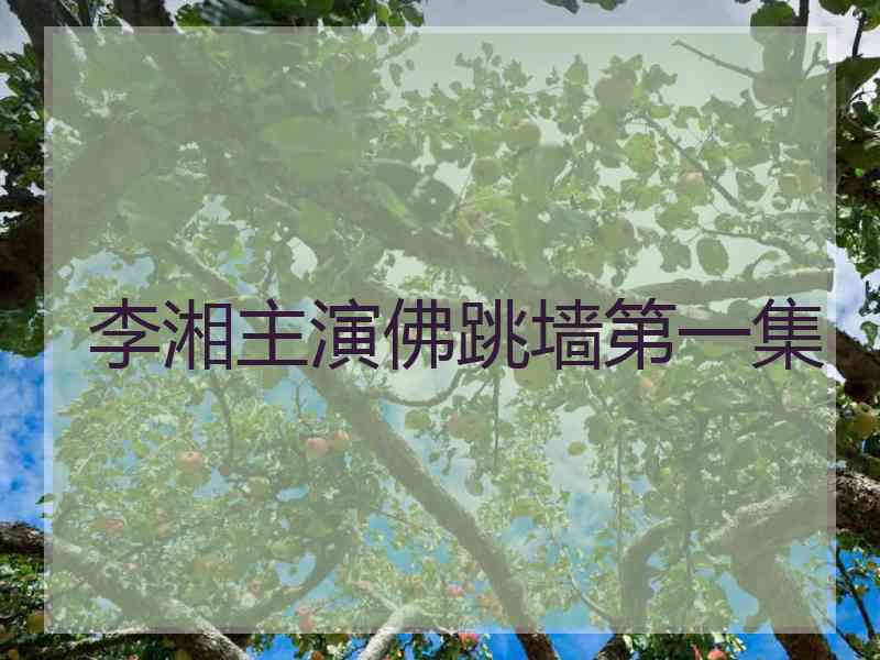 李湘主演佛跳墙第一集