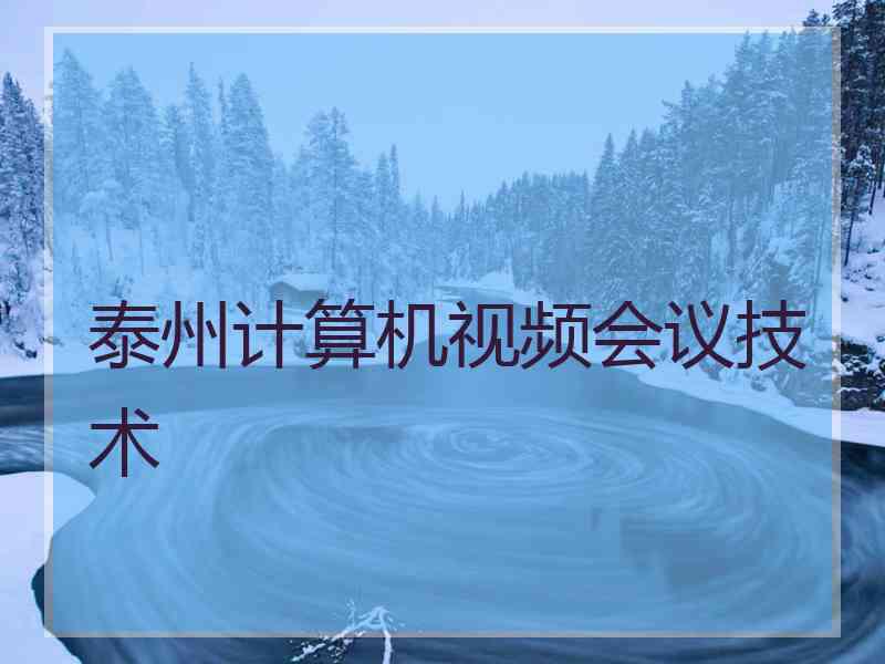 泰州计算机视频会议技术