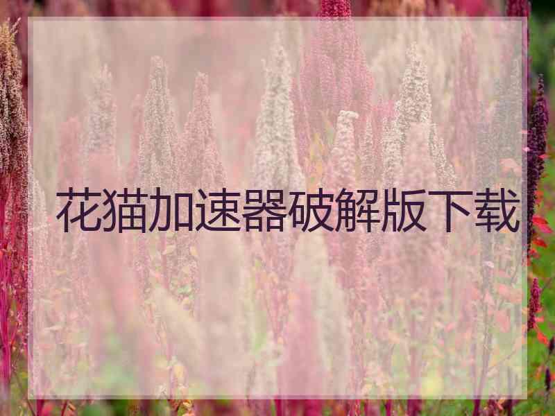 花猫加速器破解版下载