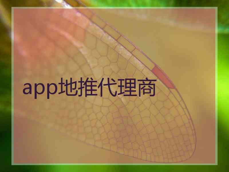 app地推代理商