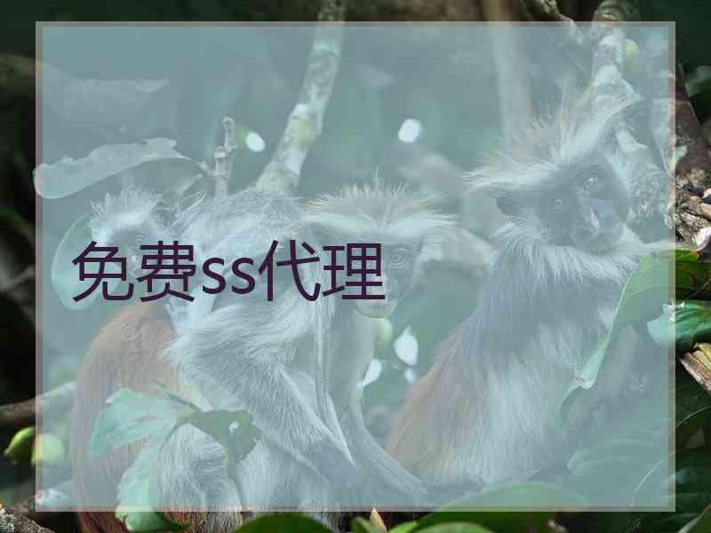 免费ss代理
