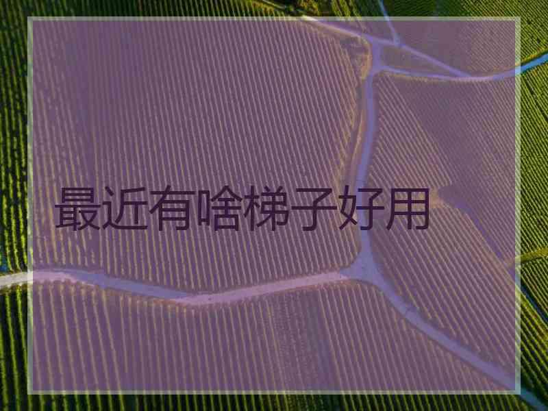 最近有啥梯子好用