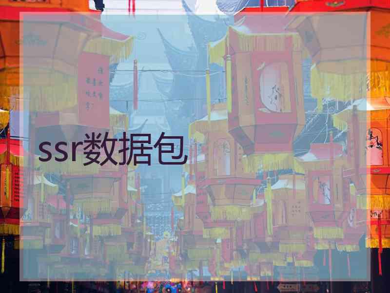 ssr数据包