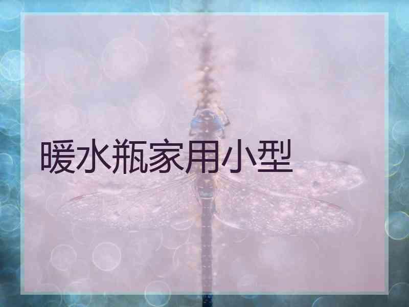 暖水瓶家用小型