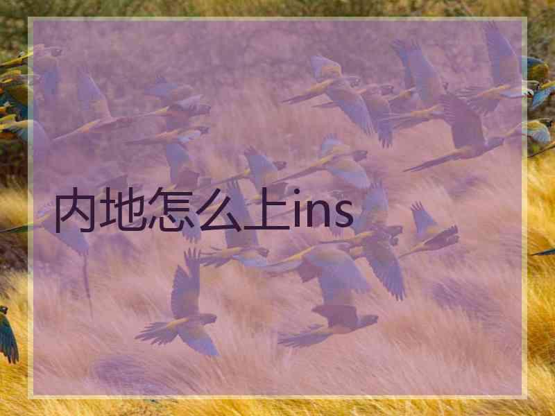内地怎么上ins