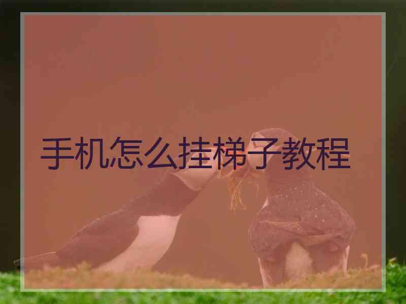 手机怎么挂梯子教程