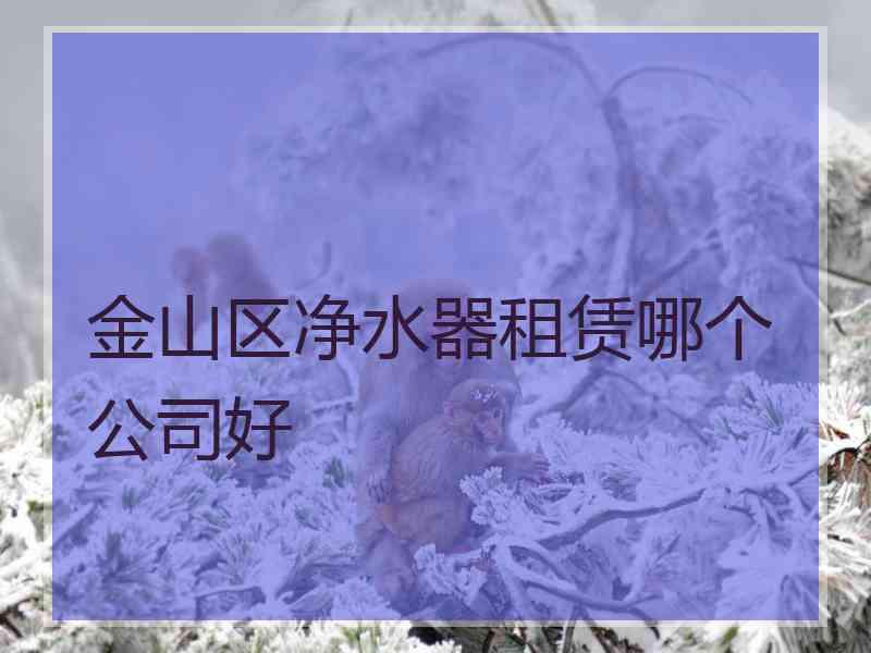 金山区净水器租赁哪个公司好