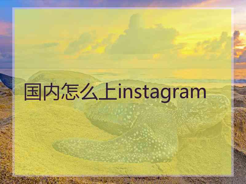 国内怎么上instagram