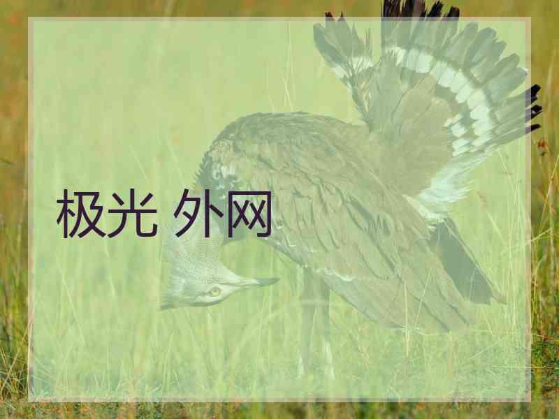 极光 外网