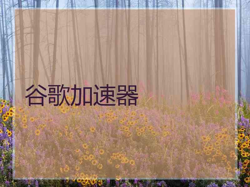 谷歌加速器