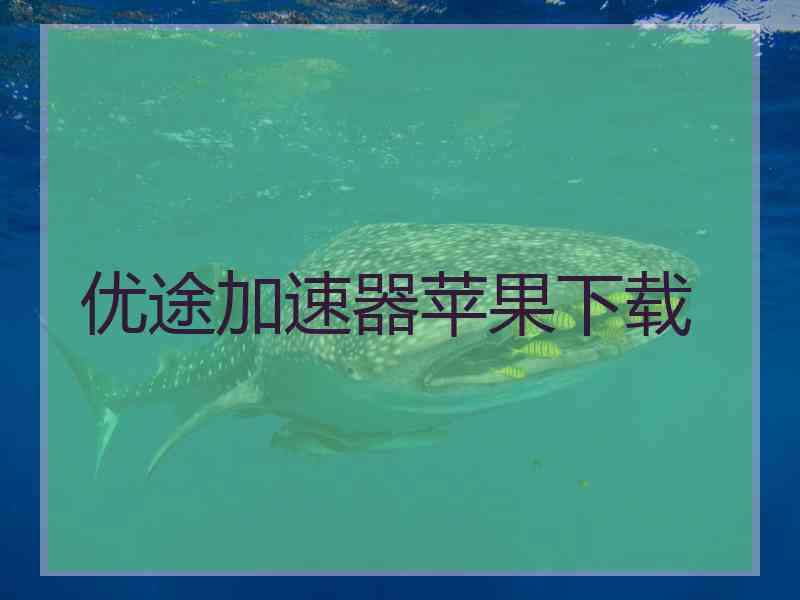 优途加速器苹果下载