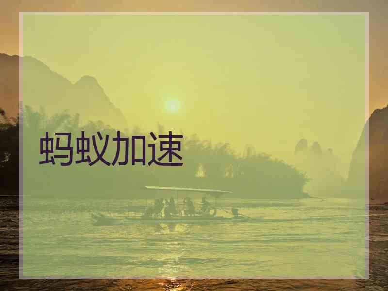 蚂蚁加速