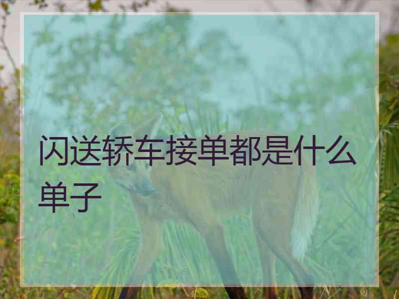 闪送轿车接单都是什么单子