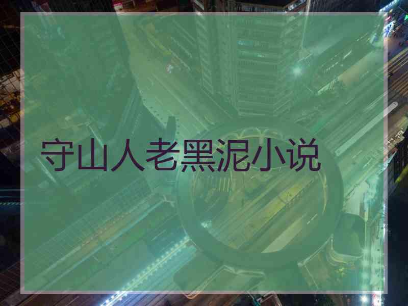守山人老黑泥小说