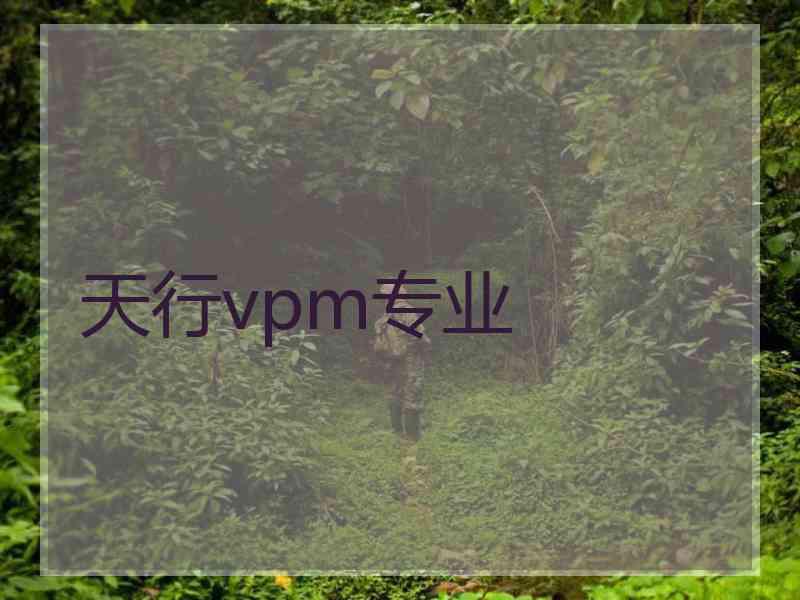 天行vpm专业