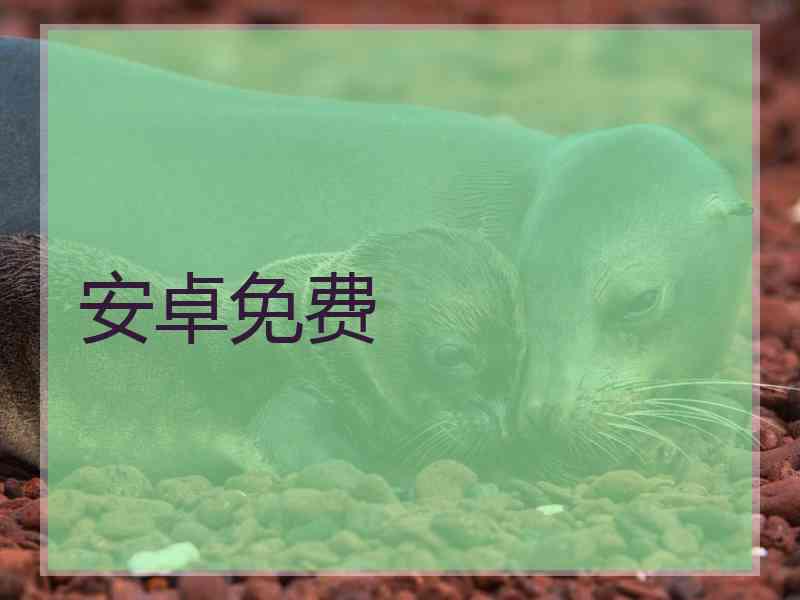 安卓免费
