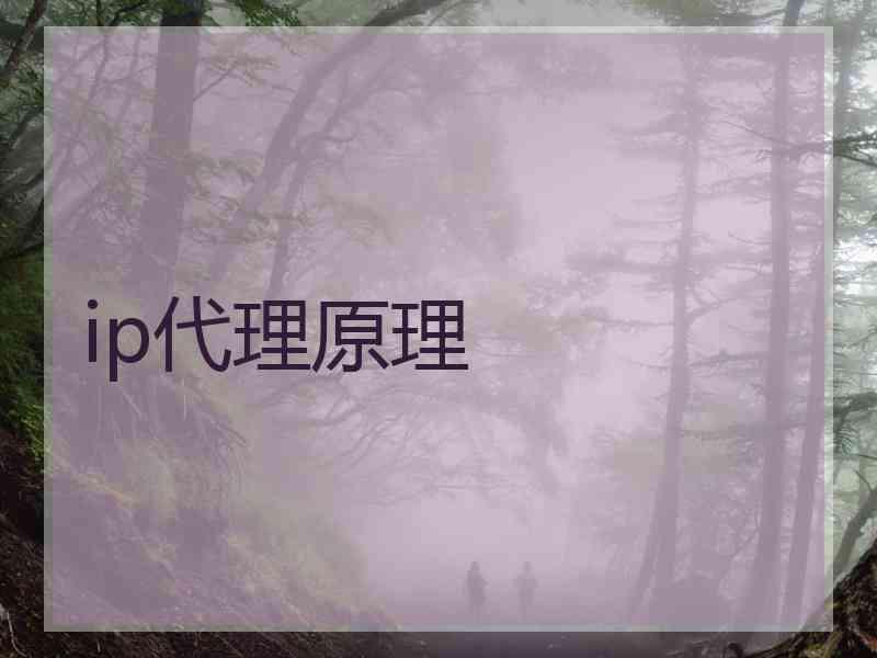ip代理原理