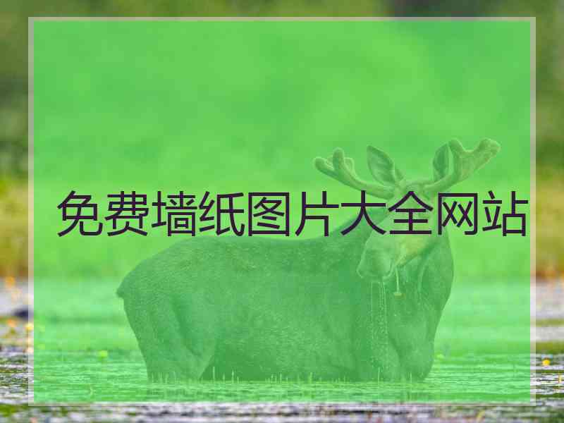 免费墙纸图片大全网站