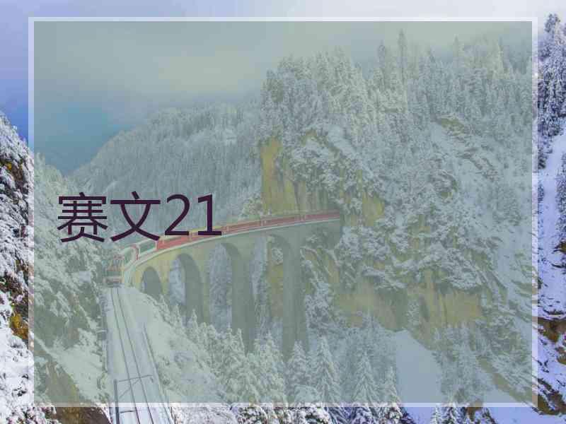 赛文21