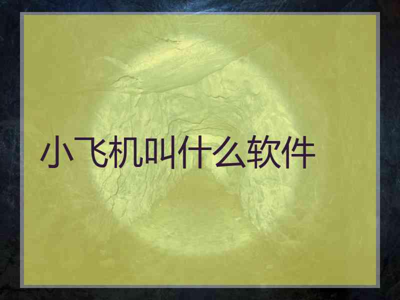 小飞机叫什么软件