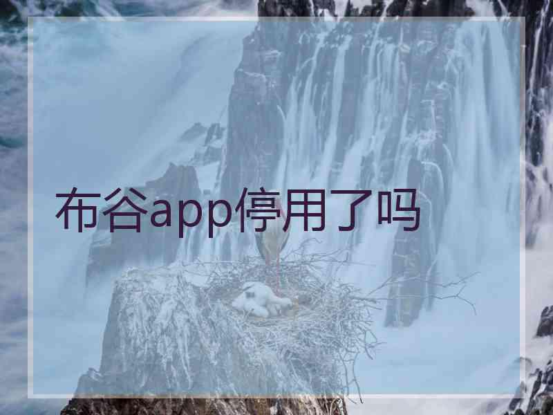 布谷app停用了吗