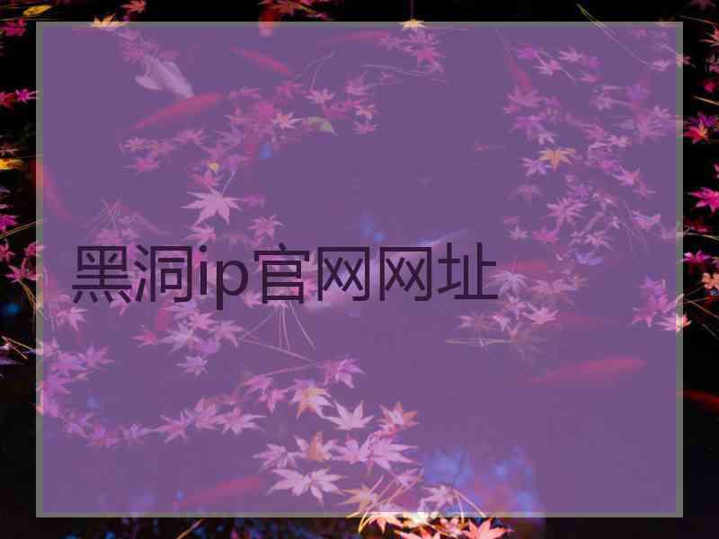 黑洞ip官网网址