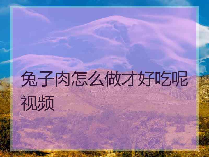 兔子肉怎么做才好吃呢视频