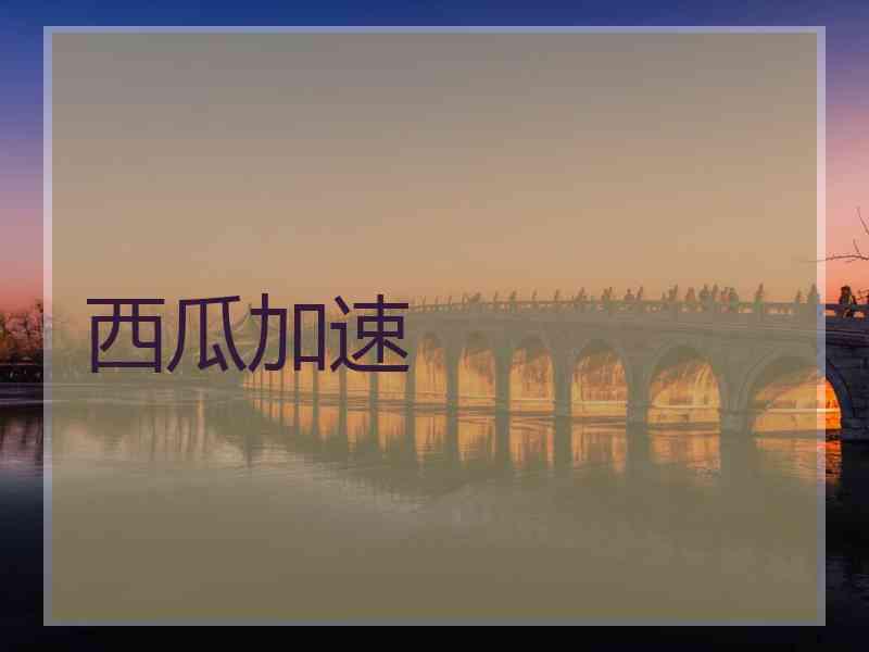 西瓜加速