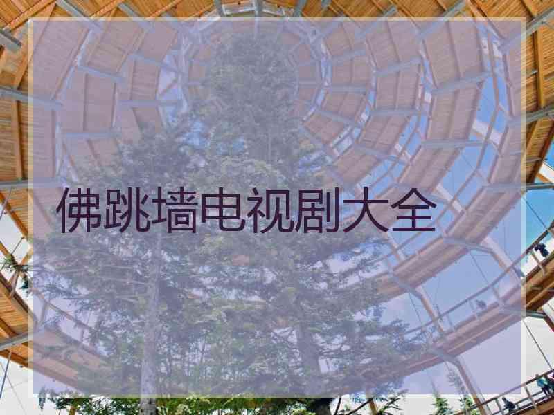 佛跳墙电视剧大全