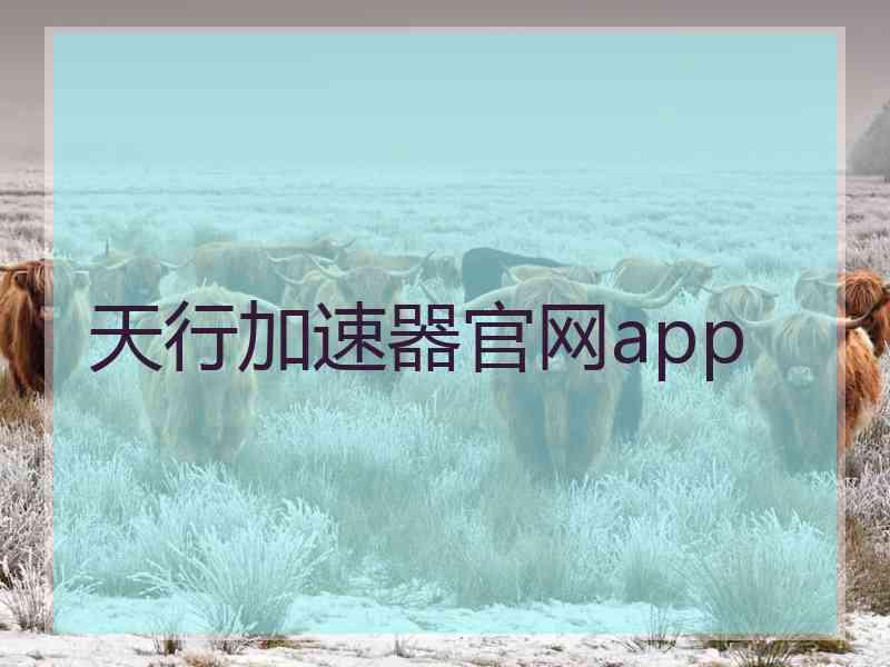 天行加速器官网app
