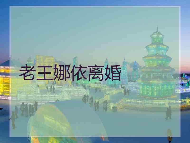 老王娜依离婚